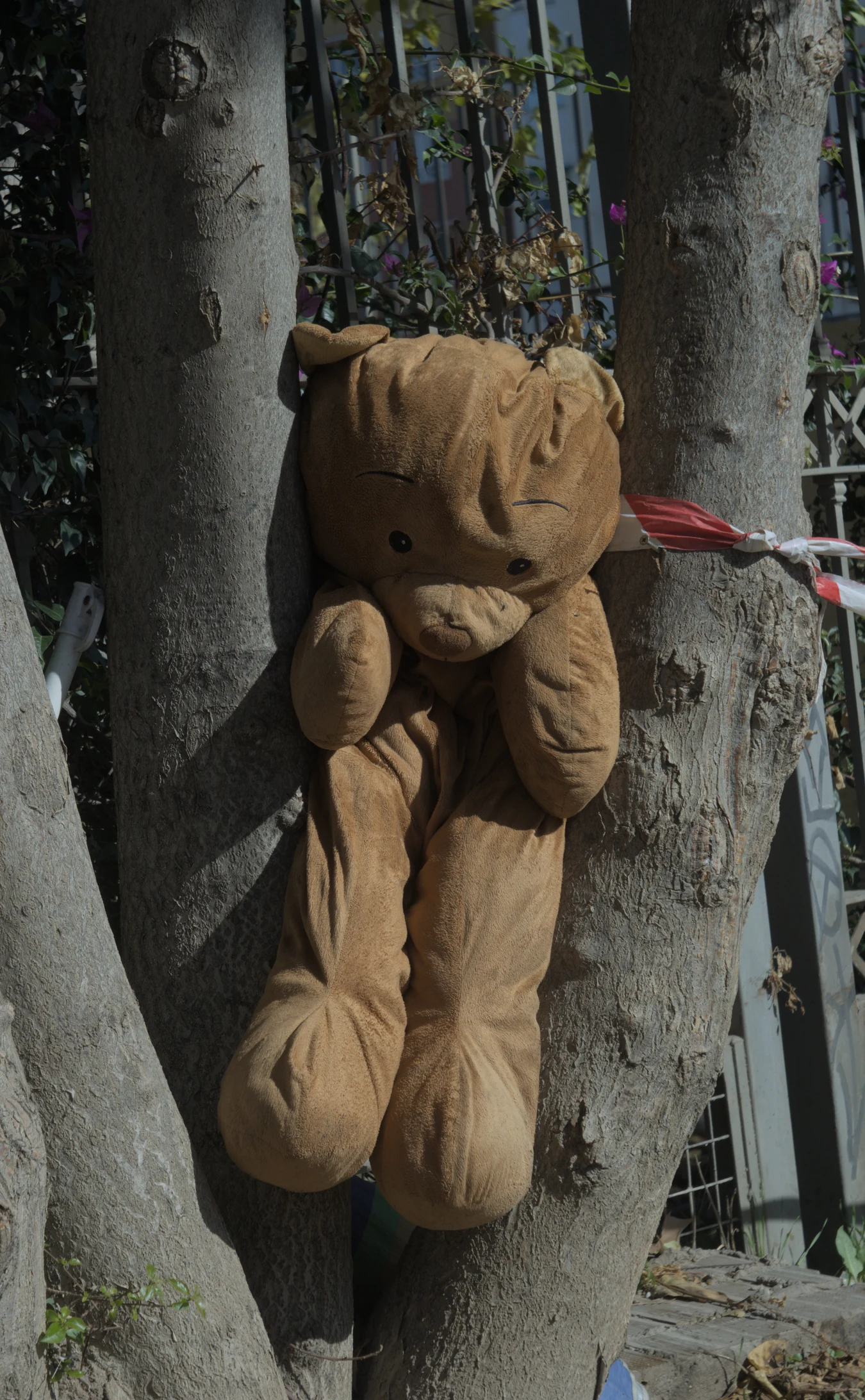 Industar-50-2 50mm f3.5 (M42) - _I4A2415.webp